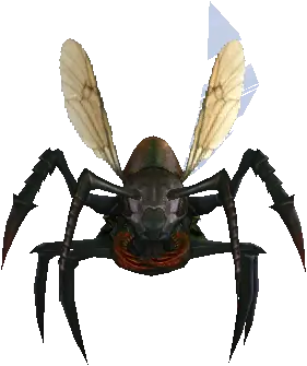 Noble Ant