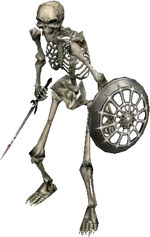 Skeleton