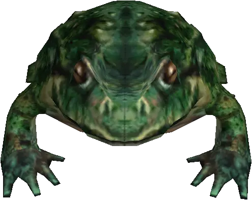 Giant Toad
