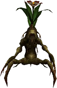 Mandragora Sapling