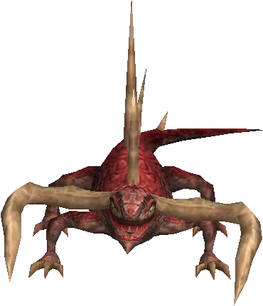 Salamander Rowin
