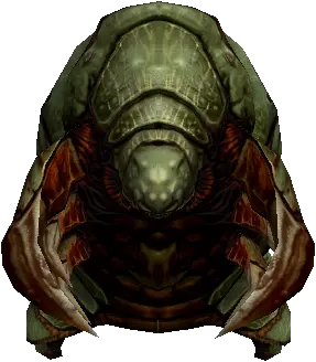 Kadios