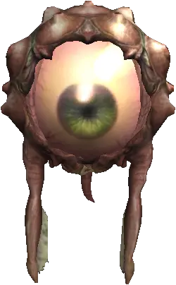 Eye of Guide