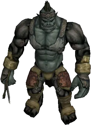 Timora Orc
